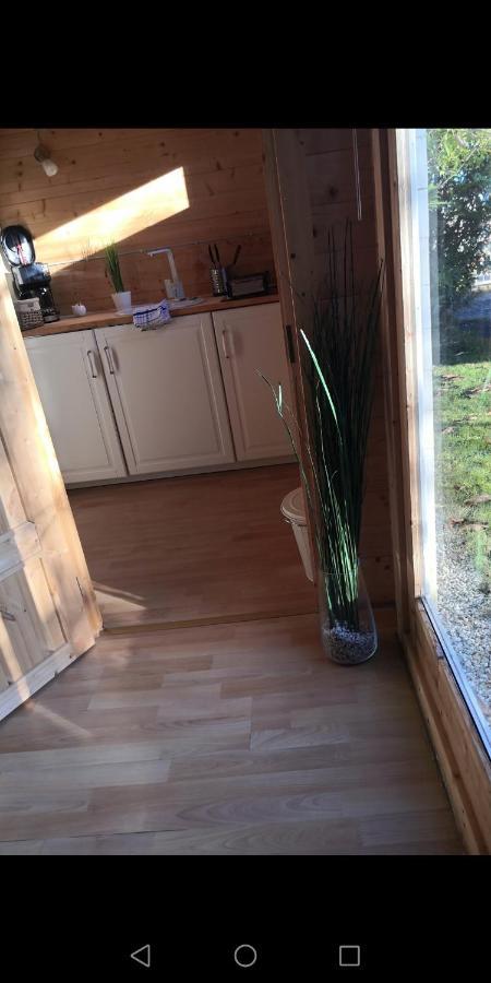 25qm ATRIUM Holz-Bungalow- NATUR PUR- NEUES MASSIVHOLZ BETT- Juni 2022- Objekt optimiert! Scharbeutz Zewnętrze zdjęcie
